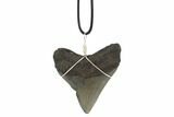 Fossil Megalodon Tooth Necklace #95235-1